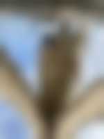 La photo du membre