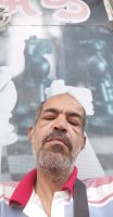صورة العضو