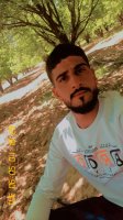 صورة العضو
